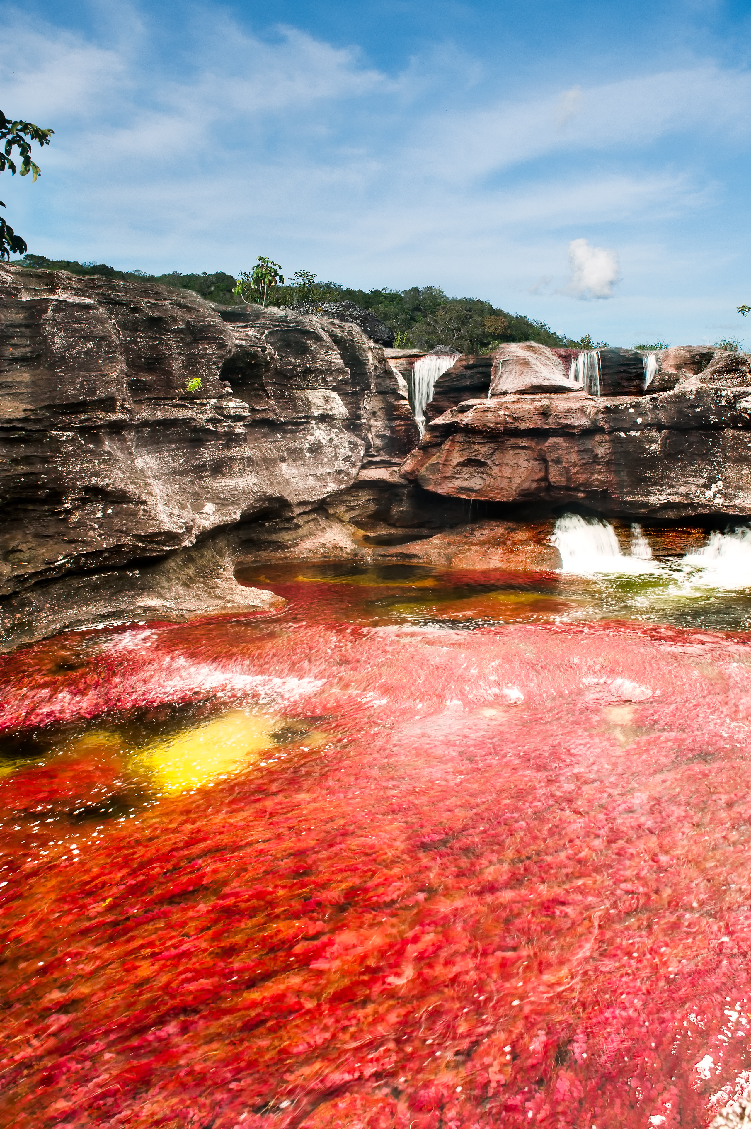 Покажи красную воду. Река Каньо Кристалес. Каньо-Кристалес Колумбия. Разноцветная река Каньо-Кристалес (Колумбия). Самая красивая река в мире Каньо Кристалес.